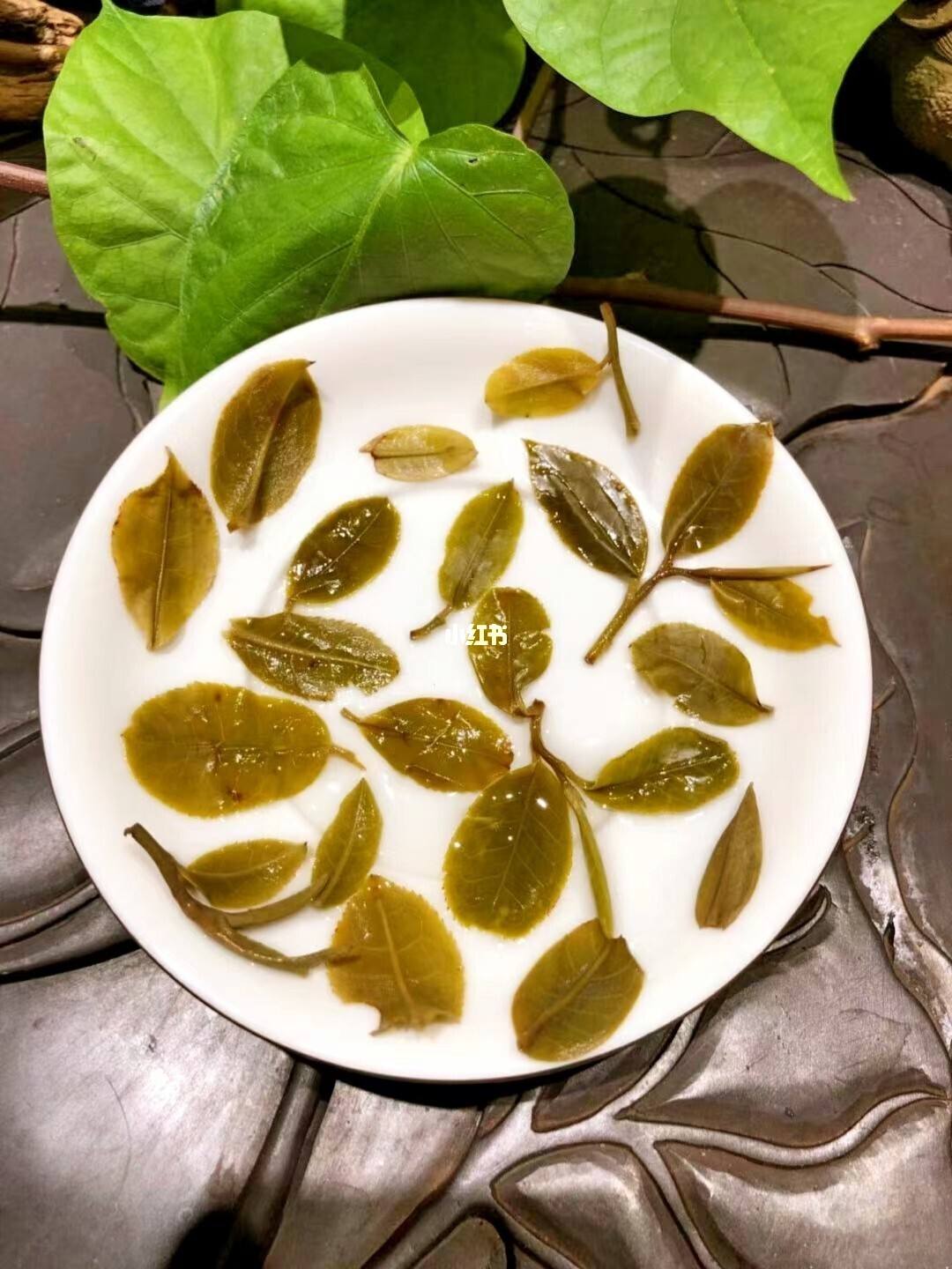 2022年倚邦貓耳朵古樹春茶多少錢一公斤？