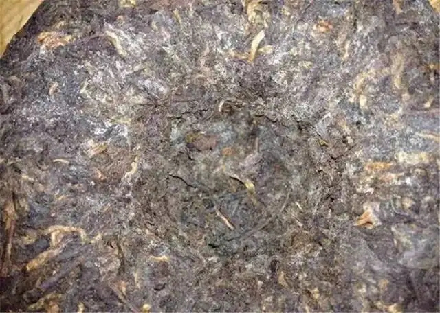 2022年普洱茶受潮發(fā)霉了怎么辦?