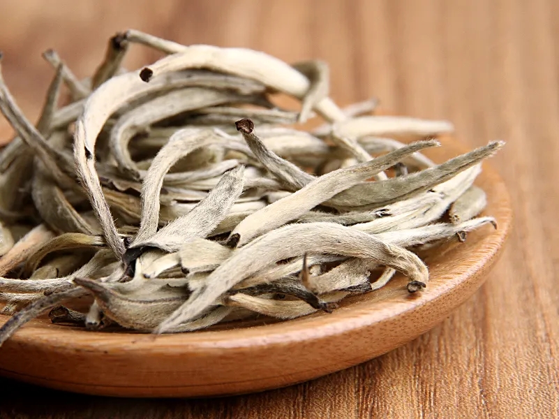 福鼎白茶、安吉白茶、云南月光白“三白”的區(qū)別