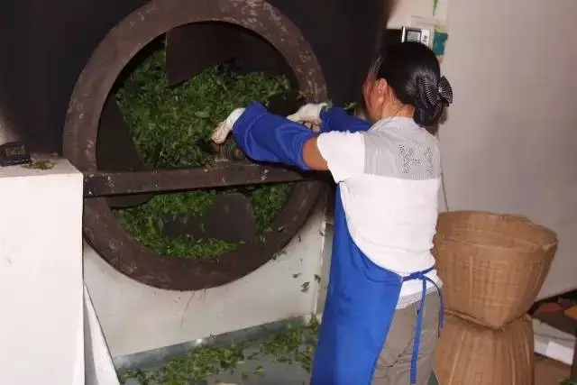 手工殺青與機器殺青的區別！