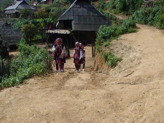 2022年的春天，古樹味道從犀牛塘開始！