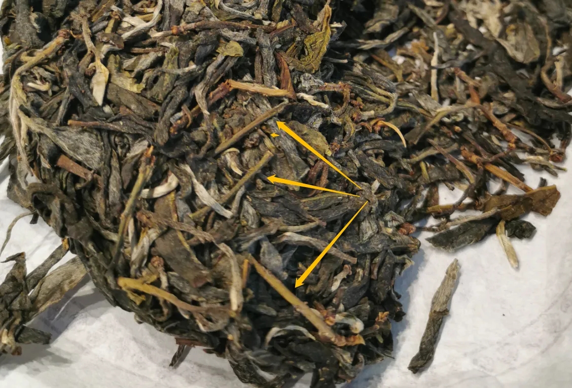 普洱茶的葉底有茶梗，就是茶不好嗎？