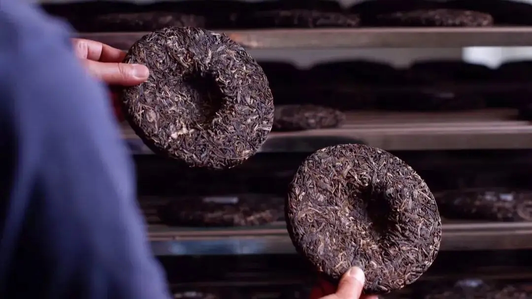 喝茶人都關心的普洱熟茶4大超核心問題！