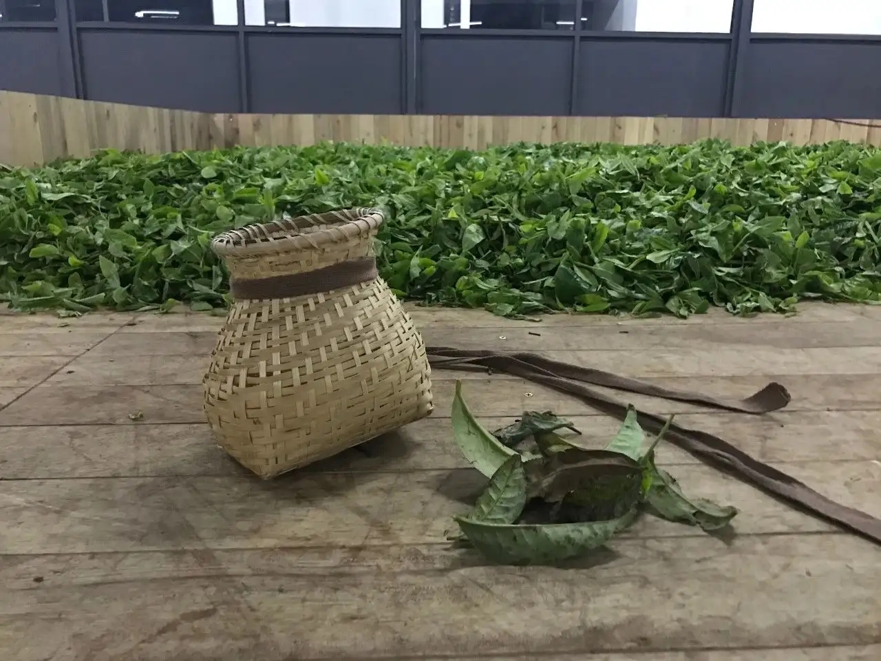 普洱茶，如果不談山頭，我們談什么？