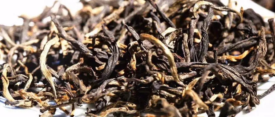 什么是茶氣？茶氣強勁又是一種怎樣的體驗？