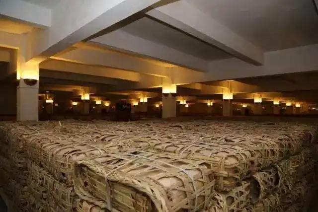 云南古樹普洱茶好在哪？相比小樹茶、臺(tái)地茶有何不同？