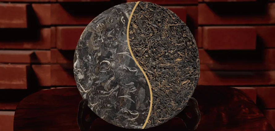 一入普門深似海？入普洱門前，你需要了解這些