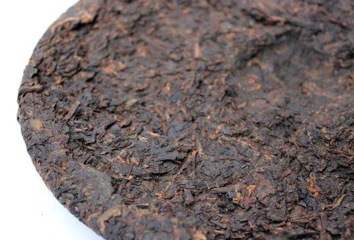 普洱熟茶的「生物大爆發」