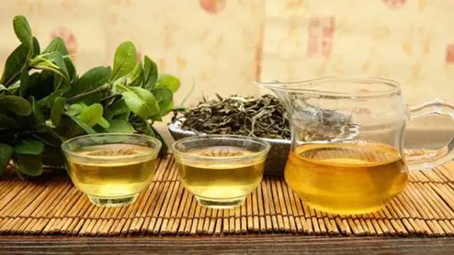 女人經常喝茶的好處有哪些