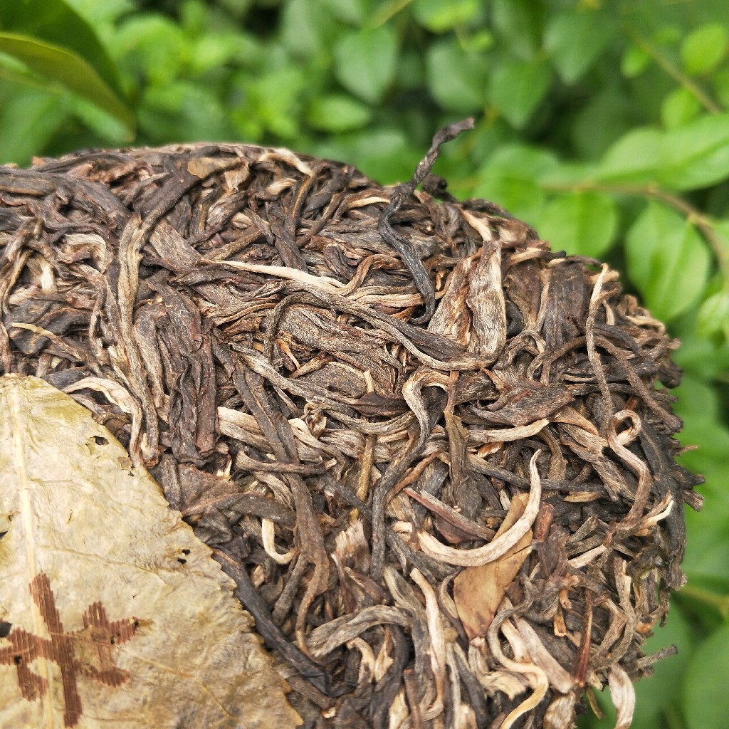 2023年班盆古樹春茶多少錢一公斤？