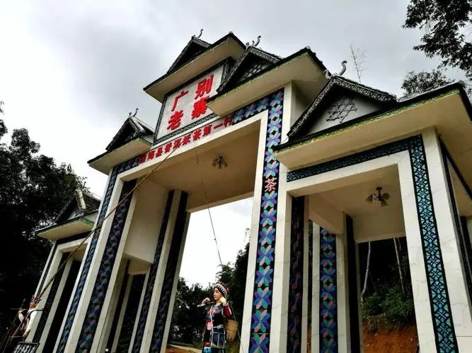 2023年廣別老寨古樹春茶品質如何？