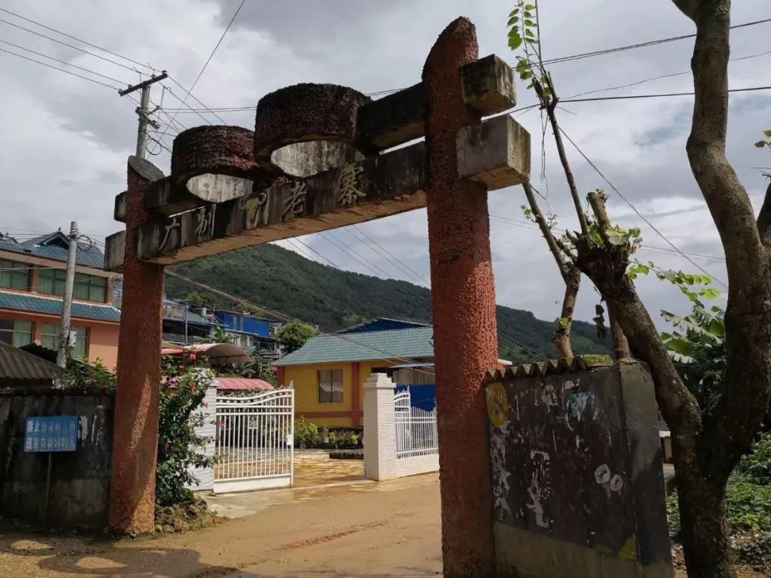 2023年廣別老寨古樹春茶價格多少？