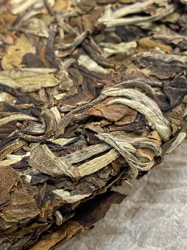 2023年拔瑪老寨古樹春茶特點是什么？