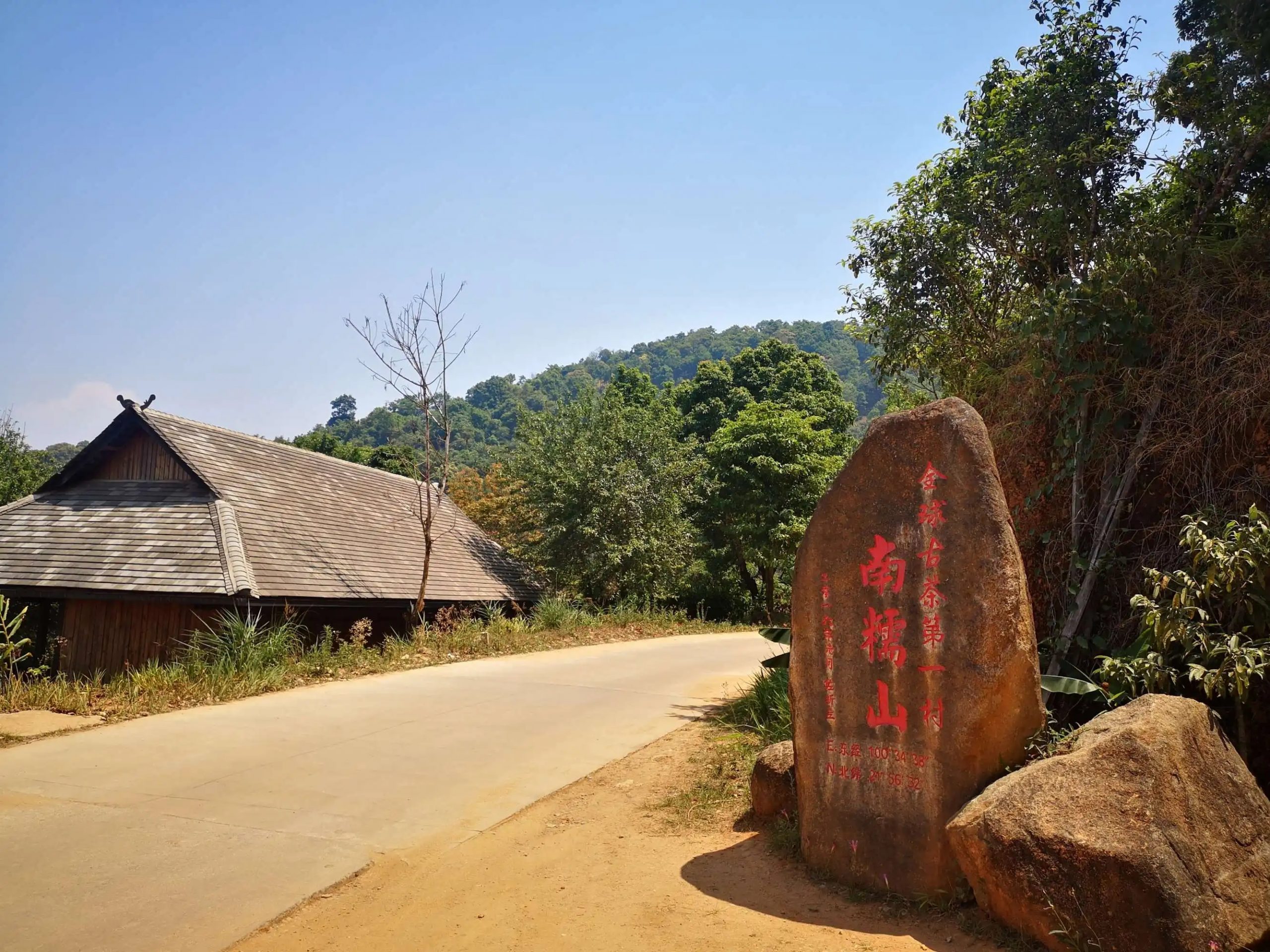 2023年南糯山古樹春茶品質怎么樣？