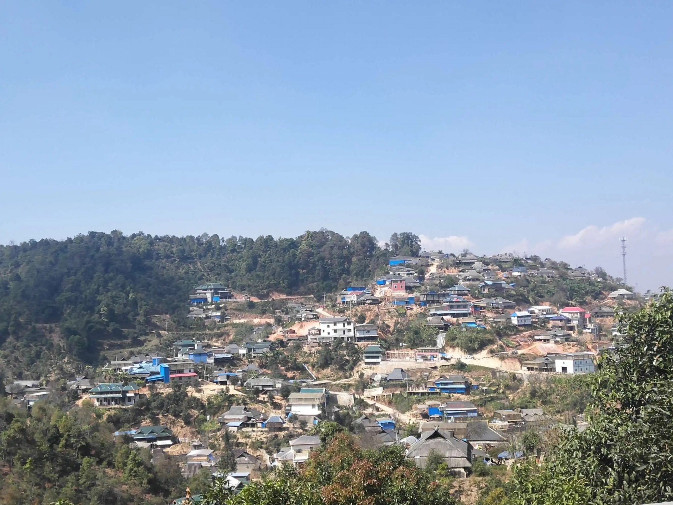 2023年帕沙古樹春茶品質如何？