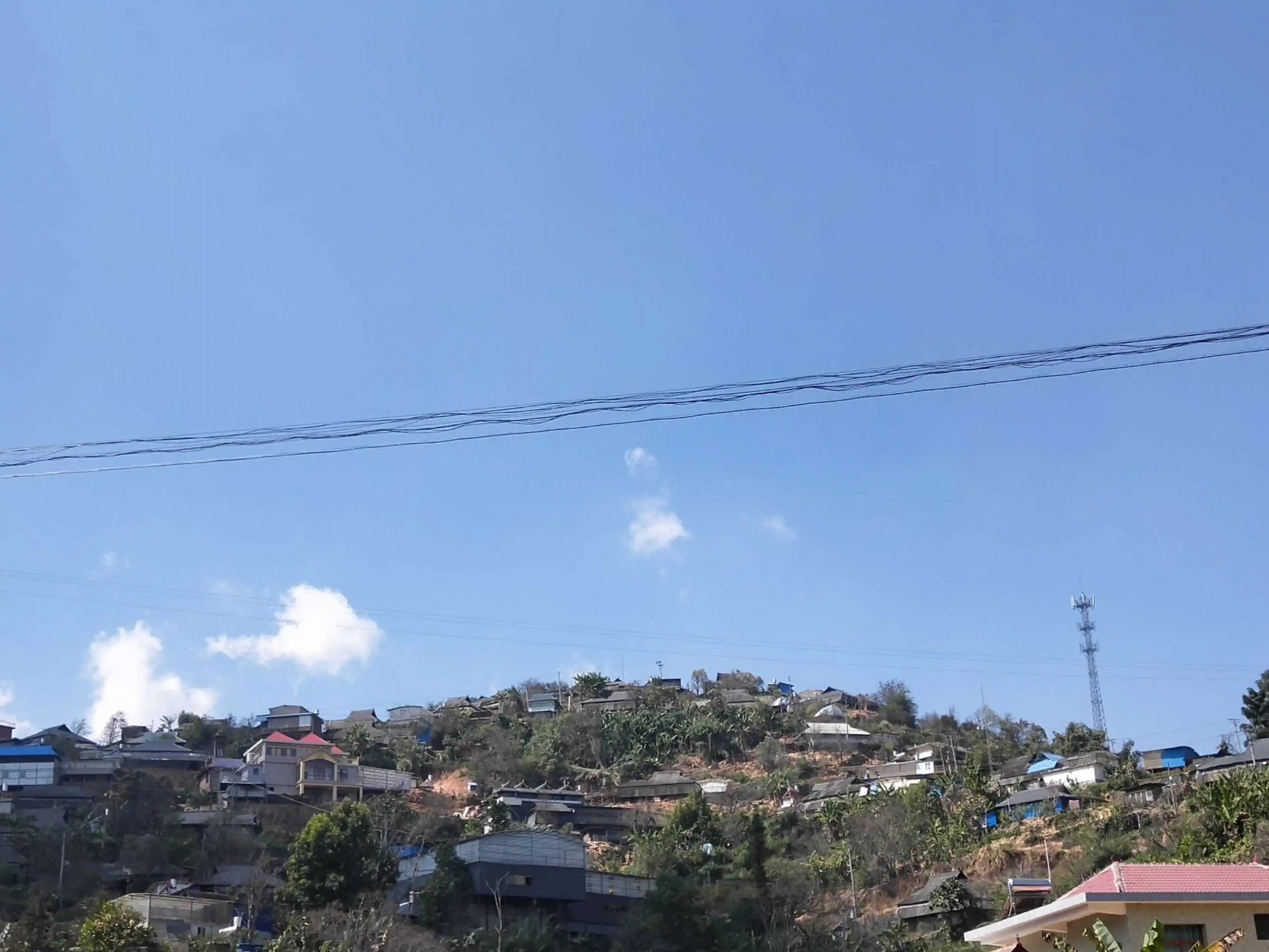 2023帕沙古樹春茶特點是什么？