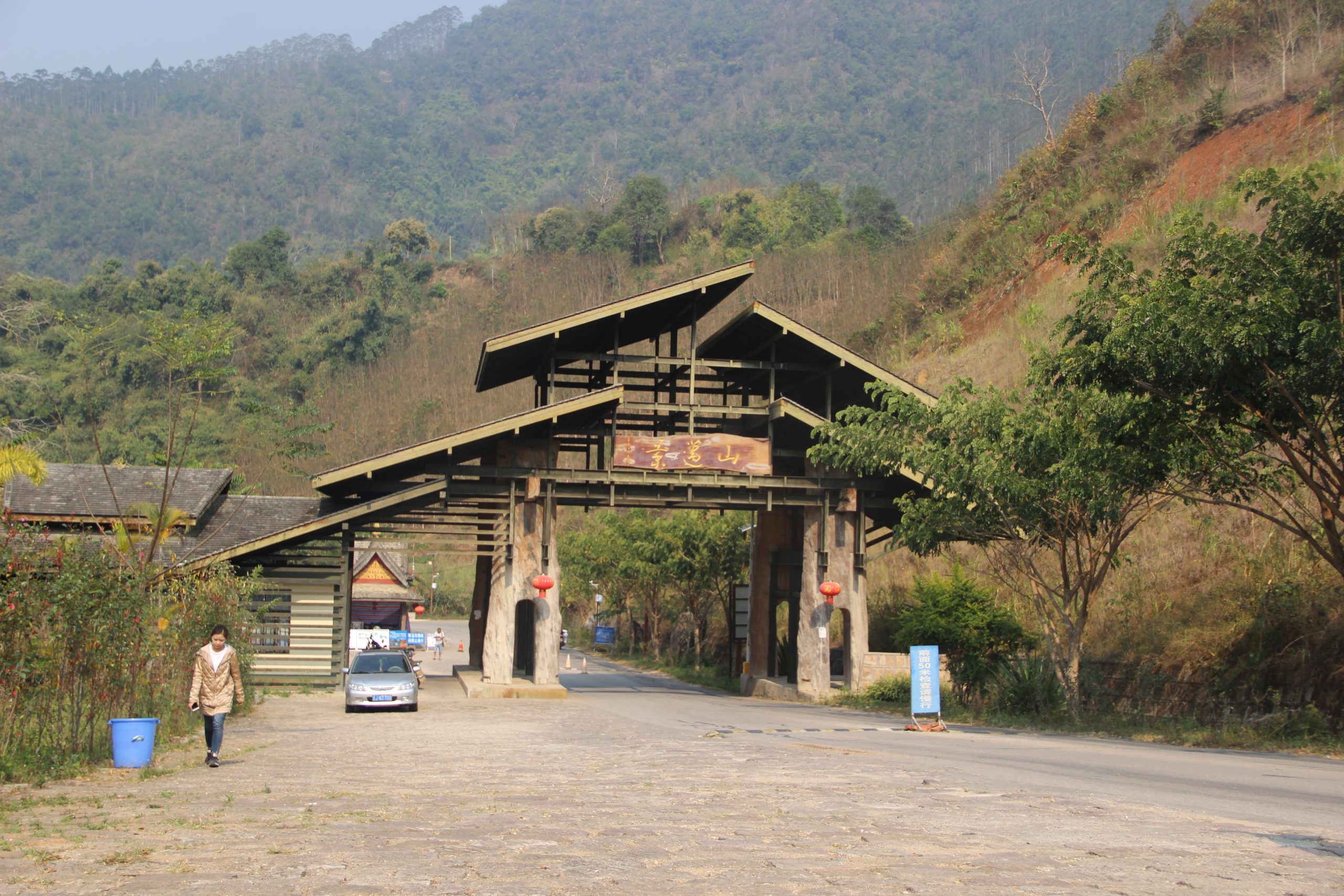 2023年景邁古樹春茶口感如何？