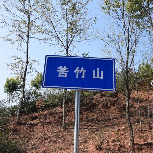 2023年苦竹山古樹春茶品質如何？