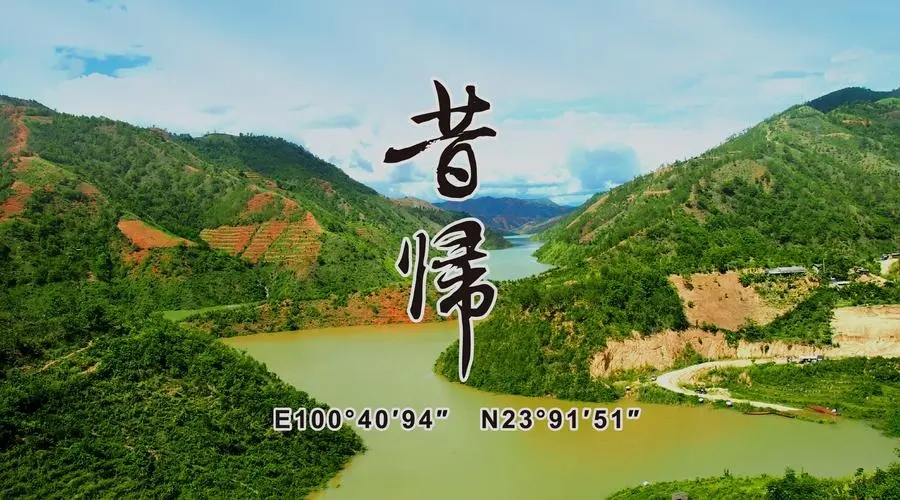 2023年昔歸古樹春茶品質如何？