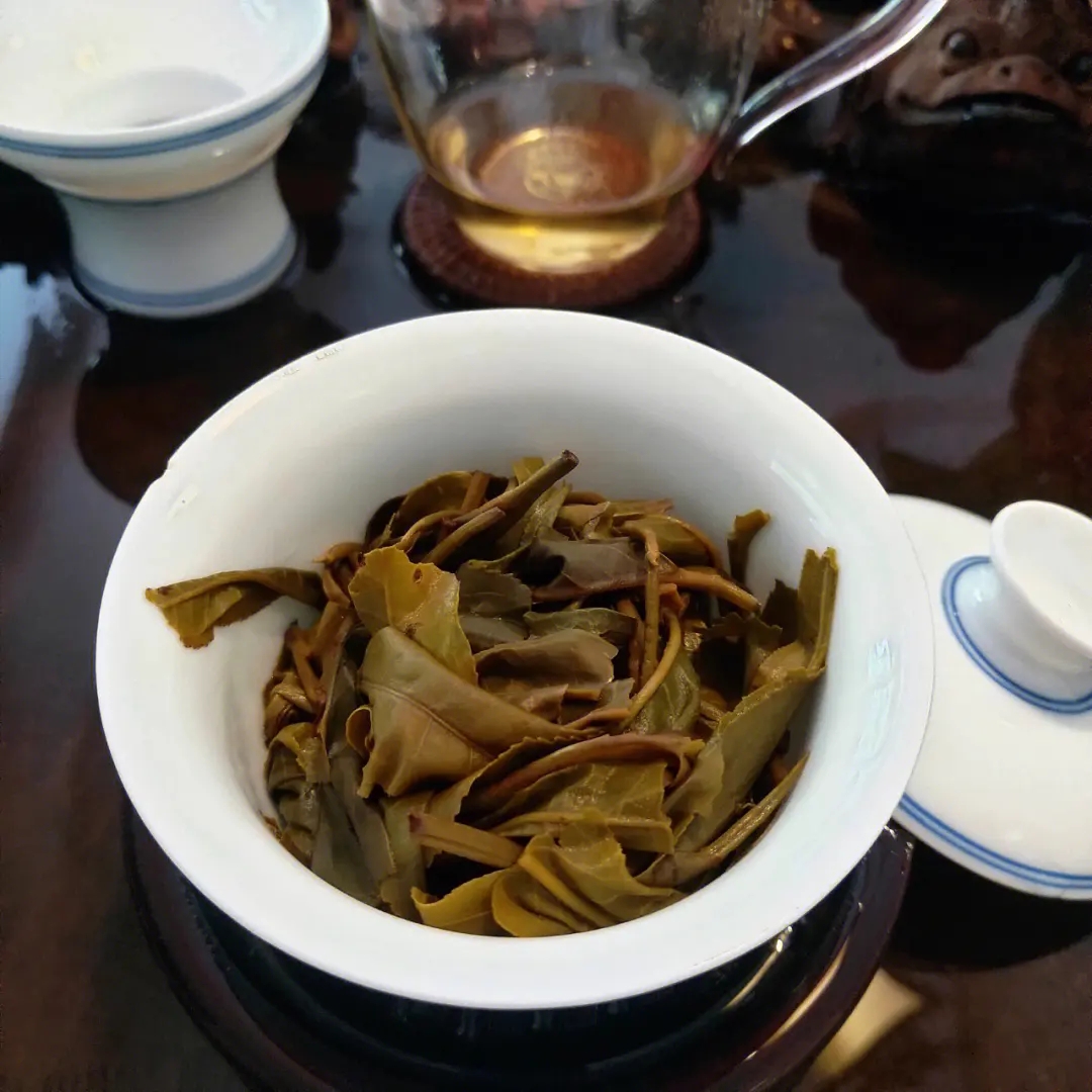 2023年昔歸古樹春茶口感如何？