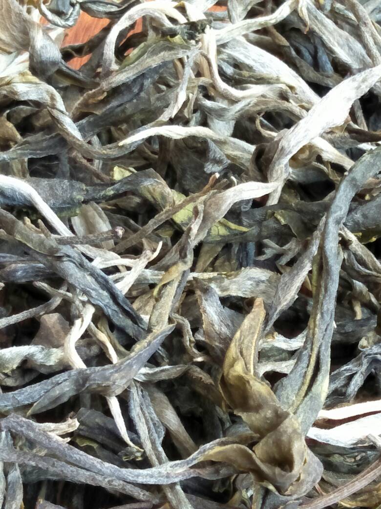 2023年壩歪古樹春茶價(jià)格是多少？