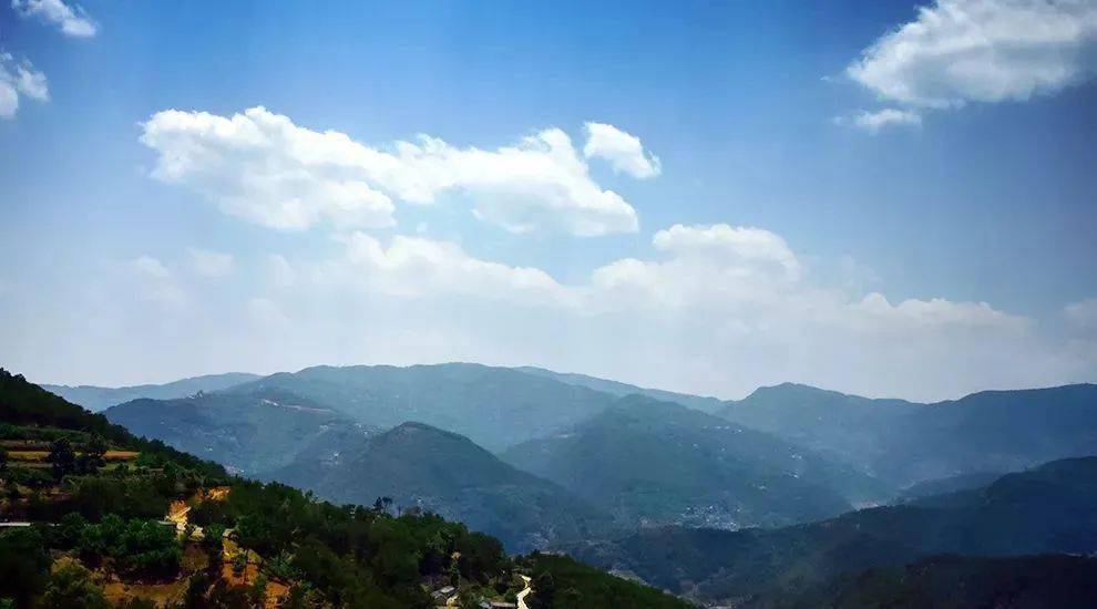 2023年勐庫大忠山古樹春茶價格是多少？