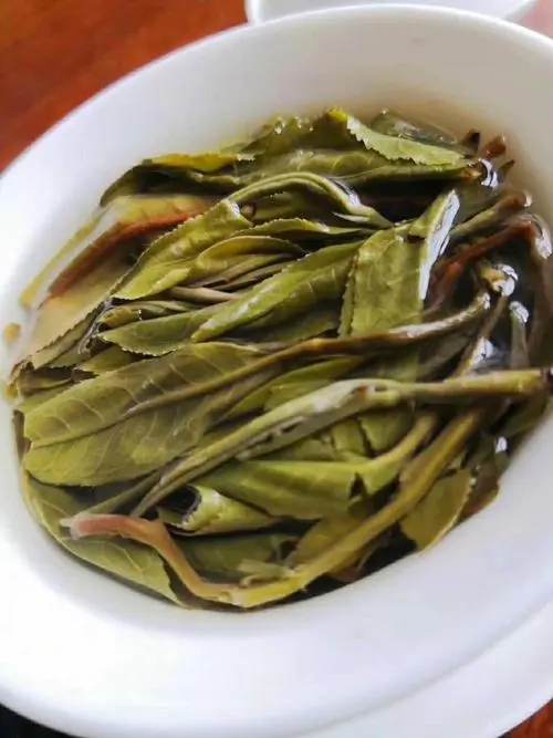 2023年鍋底塘古樹春茶特點是什么？