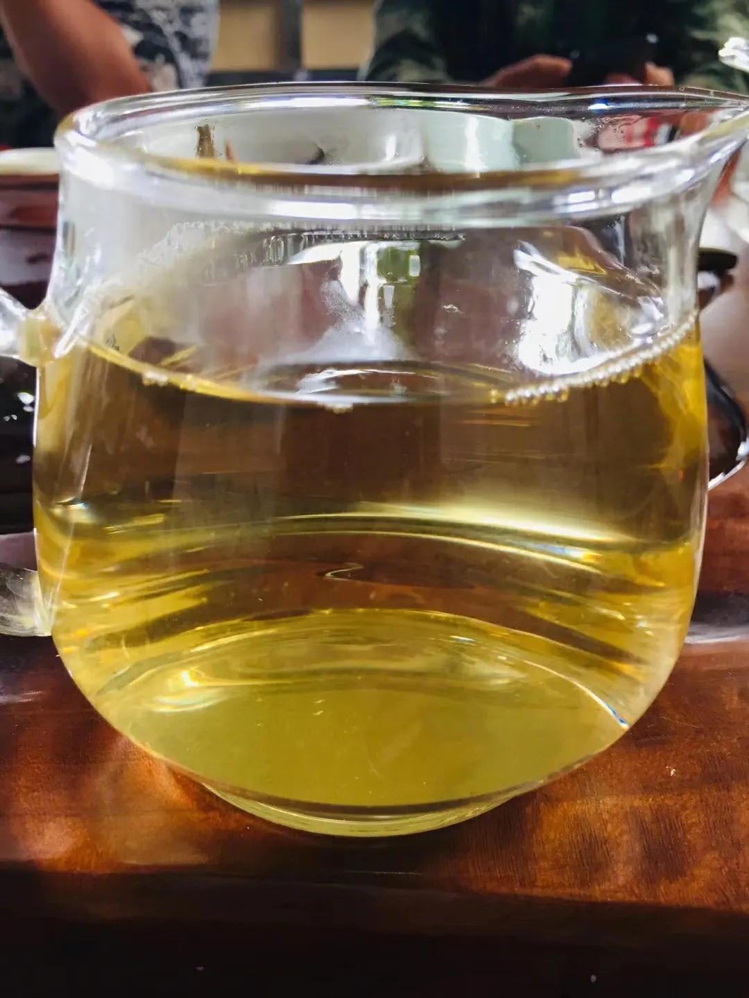 2023年鎮沅老海塘古樹春茶品質怎么樣？