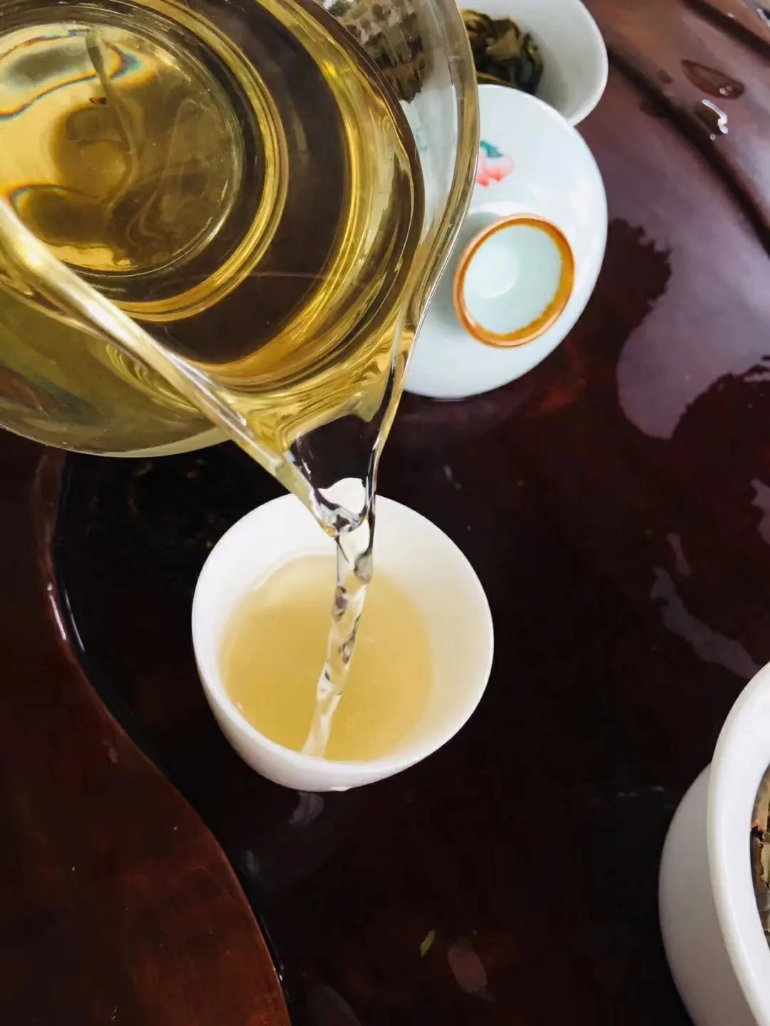 2023年鎮沅老海塘古樹春茶價格是多少？