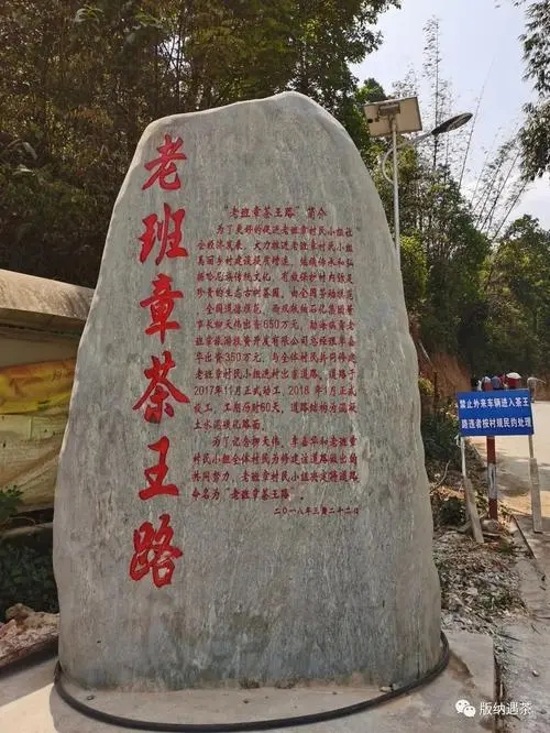 2024年老班章古樹春茶品質如何？