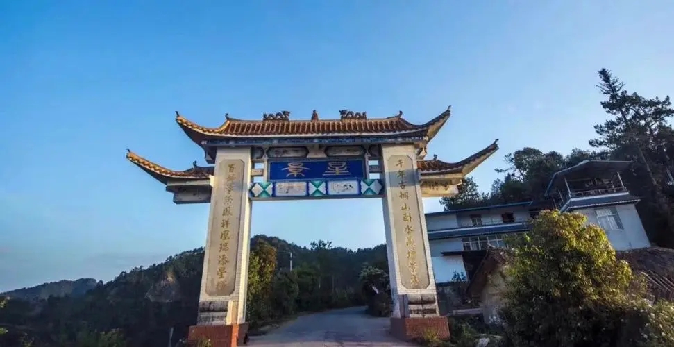 2024年墨江鳳凰窩古樹春茶特點是什么？