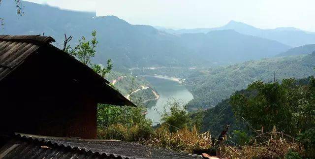 2024年磨烈古樹春茶價格多少？