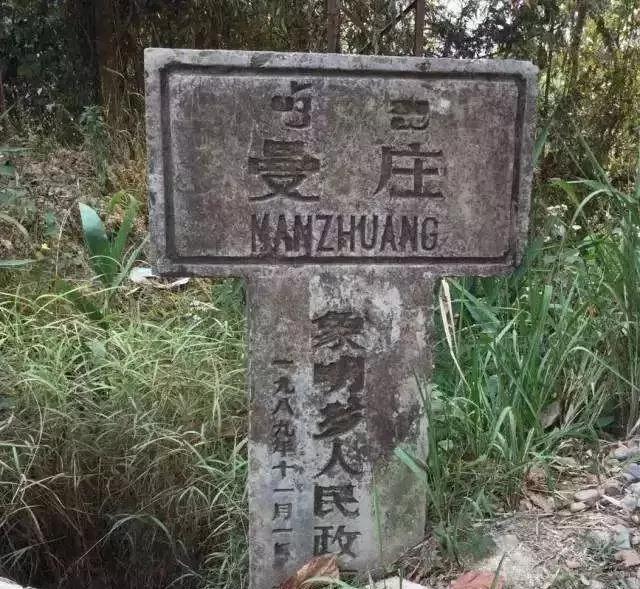 2025年蠻磚古樹春茶價格是多少？